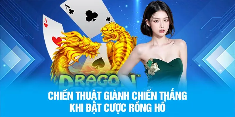 Chiến thuật giành chiến thắng khi đặt cược rồng hổ