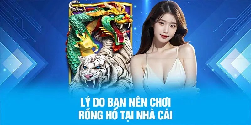 Lý do bạn nên chơi rồng hổ tại nhà cái